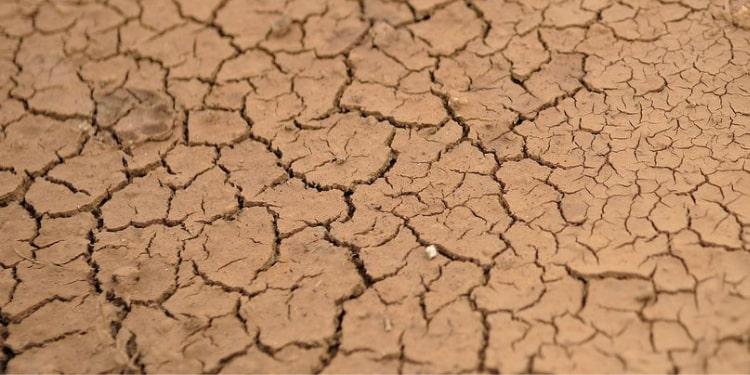 Cinco cidades potiguares têm situação de emergência reconhecida pela Defesa Civil Nacional