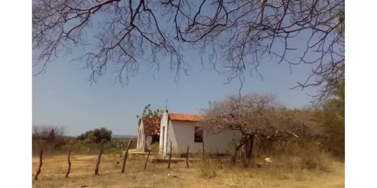 Foto tirada em zona rural de Umarizal concorre a Prêmio Fotográfico do Censo 2022