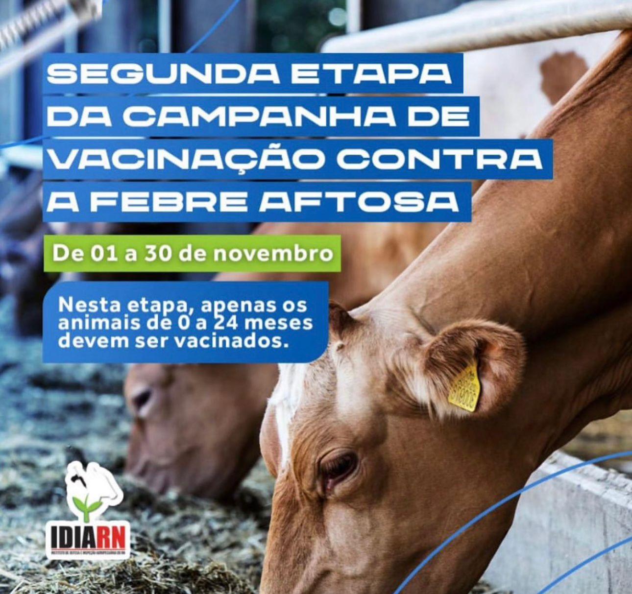 Secretaria de Agricultura de Apodi alerta para prazo da 2ª etapa de vacinação contra Febre Aftosa que vai até dia 30 de novembro