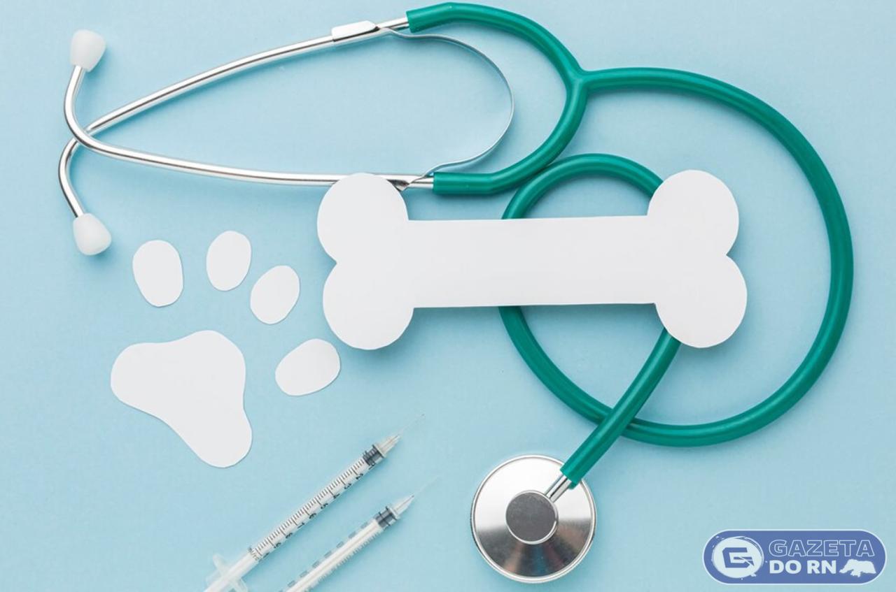 Qual a Margem de Lucro de uma Clínica Veterinária?