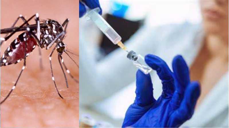 Campanha de vacinação contra a dengue inicia nesta Terça(20) em Apodi
