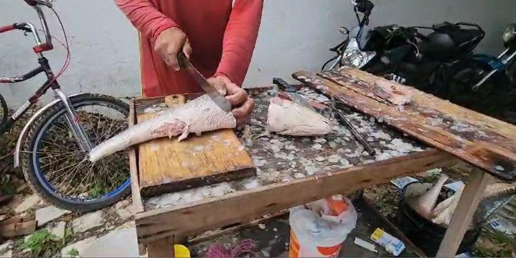 Projeto “Peixe Popular” segue com vendas em Mossoró até sexta (29)