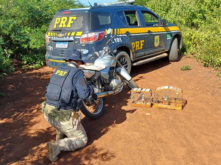 PRF prende seis pessoas e recupera três veículos no Rio Grande do Norte