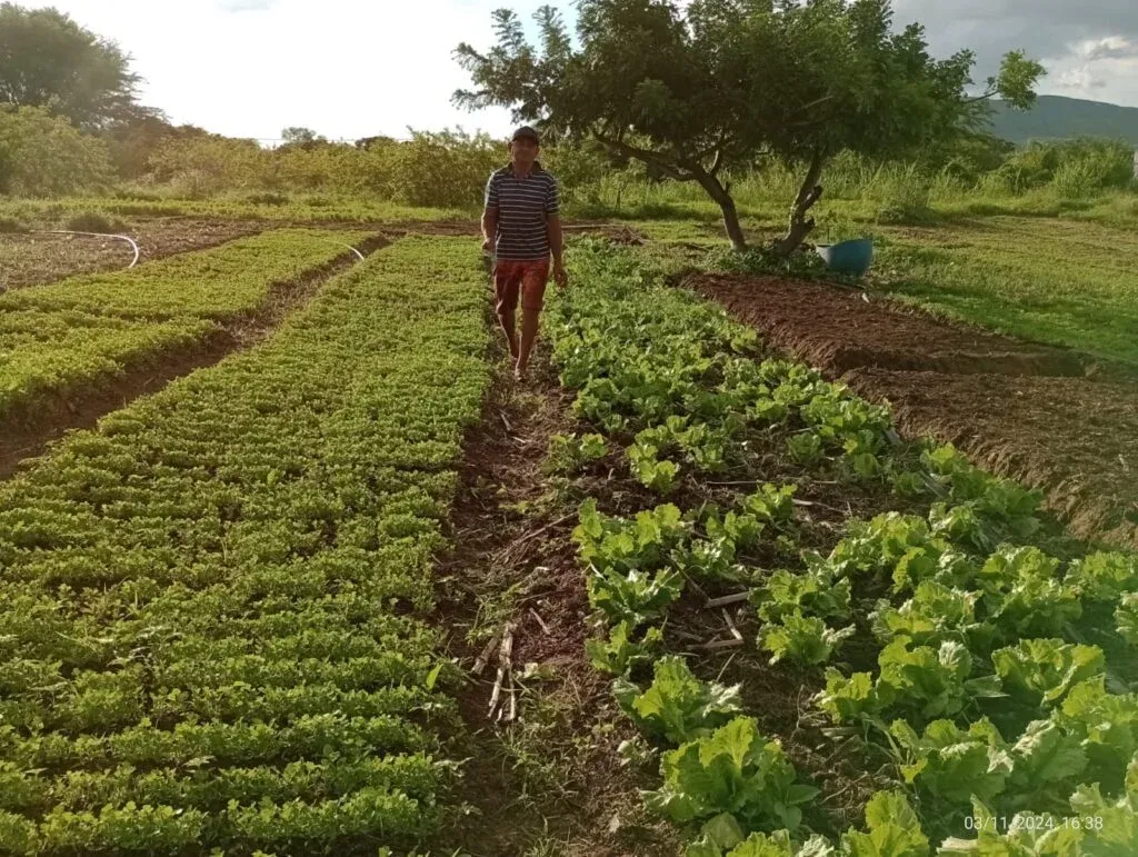 Emater-RN Distribui R$ 2,158 Milhões para Fomento Rural em 830 Famílias Rurais do RN
