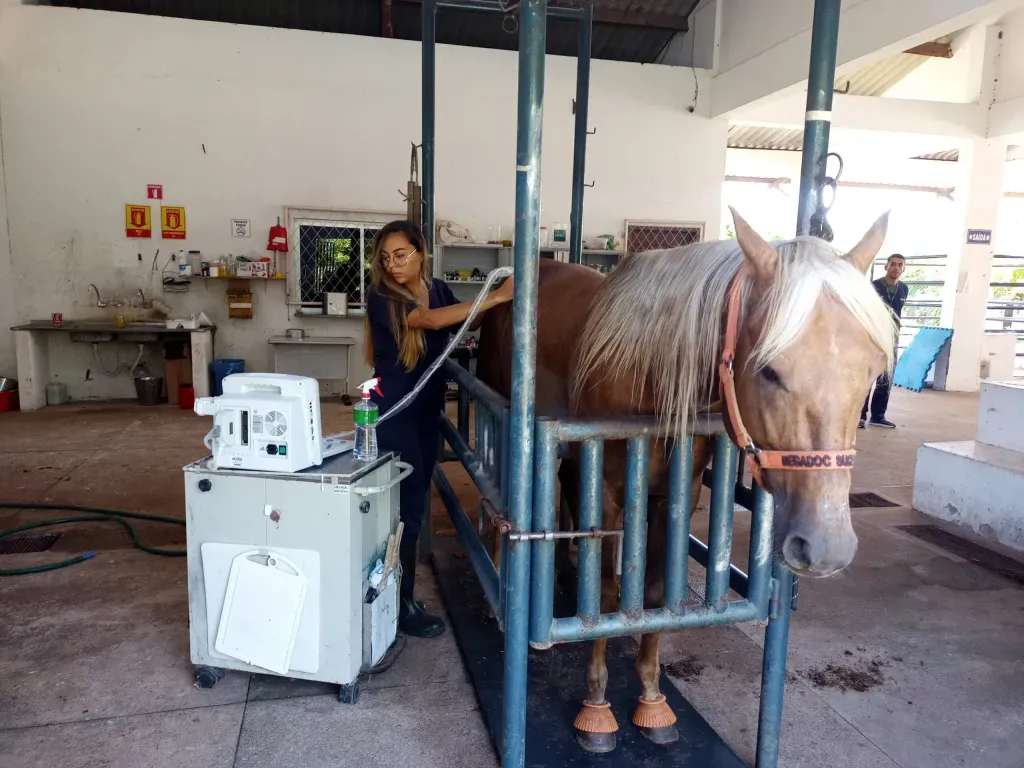 Hospital Veterinário da Ufersa adquire novos equipamentos de ultrassom para melhorar atendimentos