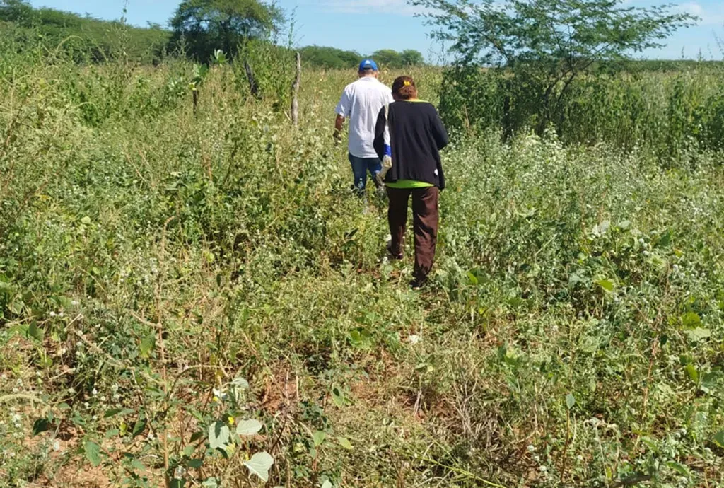 Prefeitura de Mossoró conclui vistoria do programa garantia safra 2023/2024