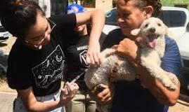 Campanha de vacinação antirrábica em Mossoró: Pontos e horários para cães e gatos