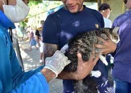 Campanha de vacinação contra a raiva em Mossoró: Confira os locais desta final de semana