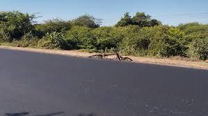 Ciclista morre atropelado na RN-015 em Mossoró, nesta Segunda (08)