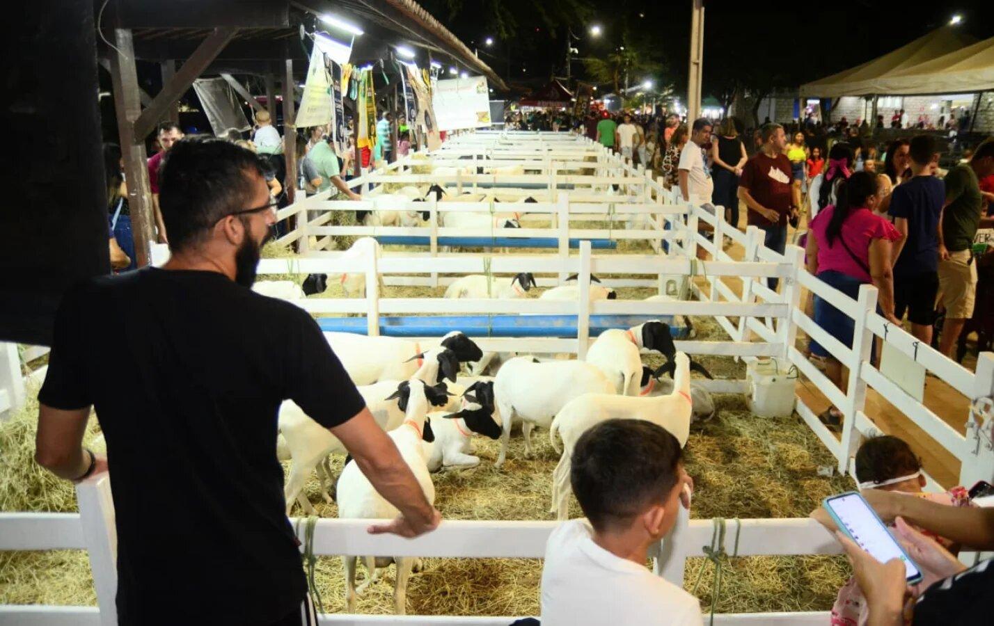 24ª Festa do Bode movimenta R$ 13 milhões e atrai 100 mil visitantes em Mossoró