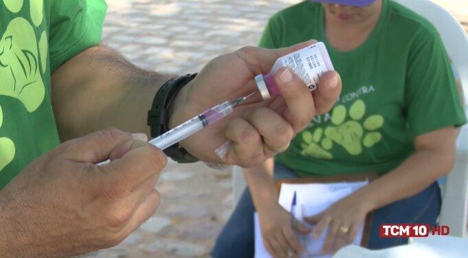 Campanha antirrábica em Mossoró segue com vacinação em pontos extras nesta sexta e sábado