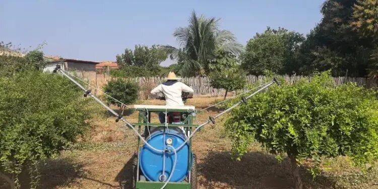 Professor da Ufersa e alunos desenvolvem pulverizador solar de baixo custo para agricultores familiares