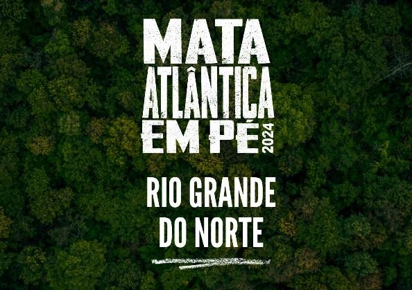 MPRN identifica 48 hectares de Mata Atlântica desmatados ilegalmente no RN