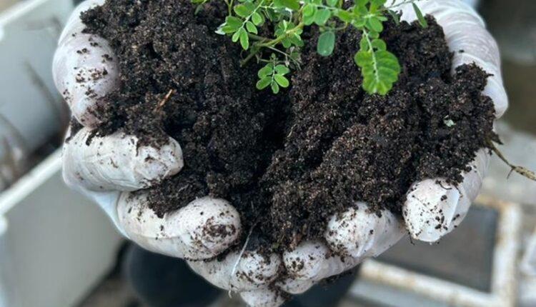 Sesap e UFRN conquistam implantação da primeira Farmácia Viva no RN