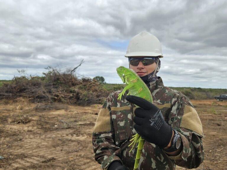 Ação ambiental no Complexo Hidrossocial Oiticica resgata mais de 1.500 animais