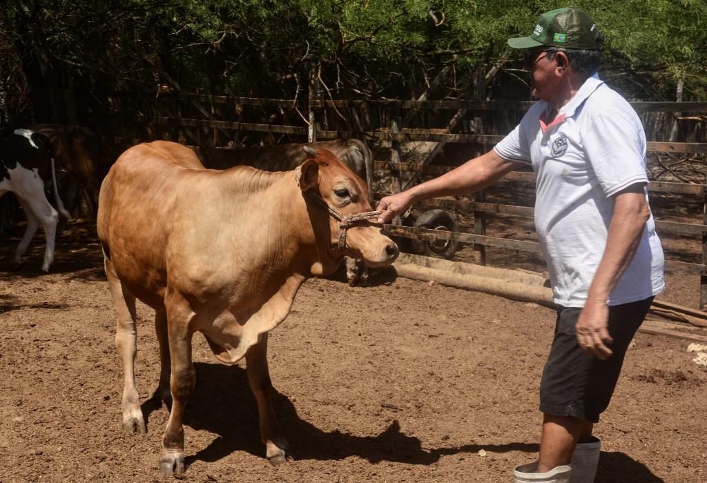 Prefeitura de Mossoró continua com mutirão para declaração de rebanho nesta quarta (13)