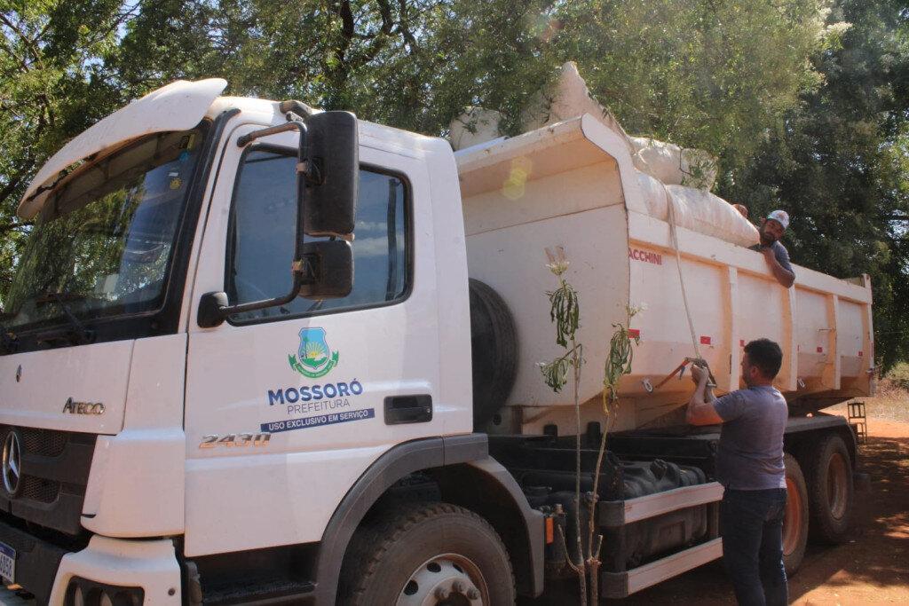Seadru apoia colheita de quase 5 toneladas de algodão agroecológico em Mossoró em 2024