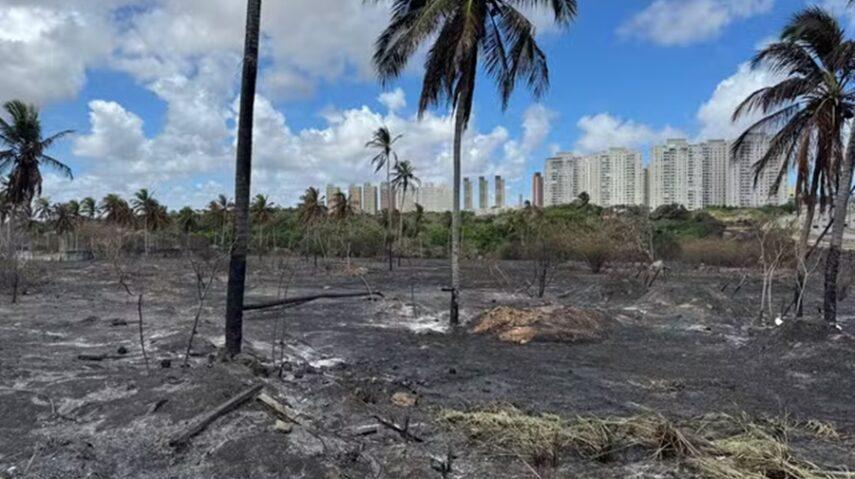 Corpo de Bombeiros do RN registra 1.856 incêndios em vegetação em 2024