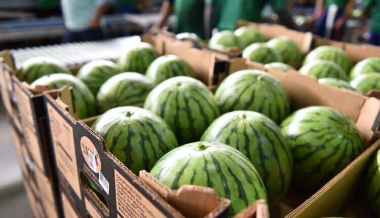 PIB do Rio Grande do Norte terá crescimento recorde de 6,1% em 2024