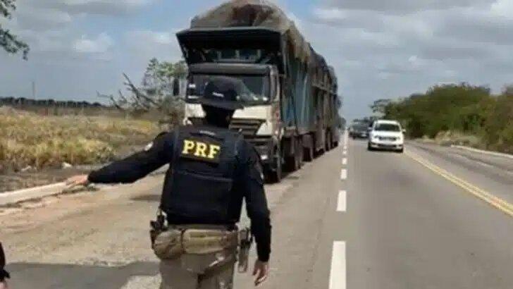 PRF flagra motorista de caminhão com cocaína e irregularidades de peso e altura na BR-406 nesta sexta (3)