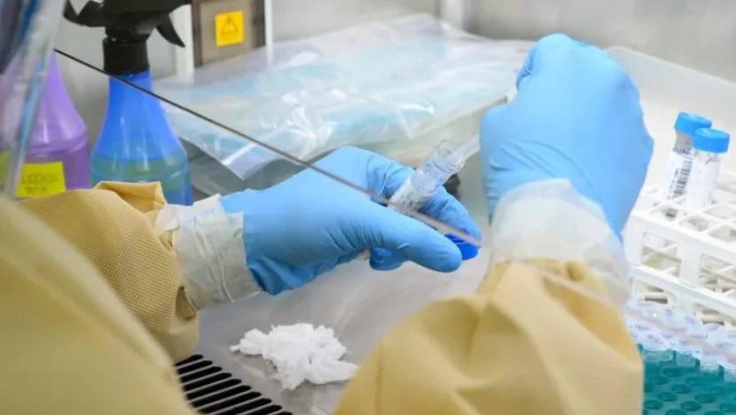 Pacientes do RN apresentam manchas vermelhas e coceira, e Secretaria de Saúde investiga