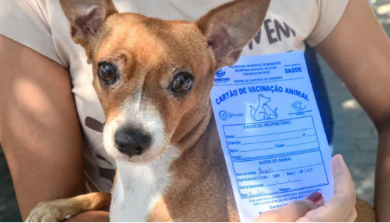 Parque Municipal de Mossoró receberá ação de saúde animal neste sábado (29)