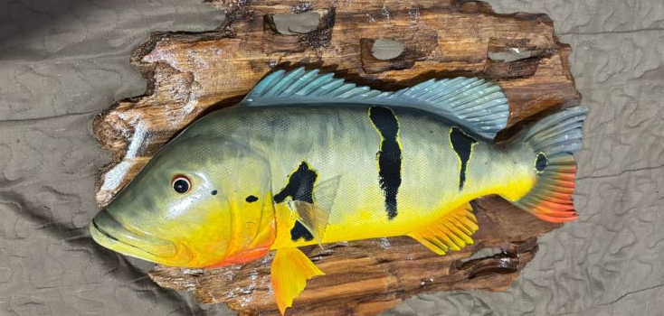 Barragem Santa Cruz em Apodi sediará evento de pesca esportiva neste final de semana