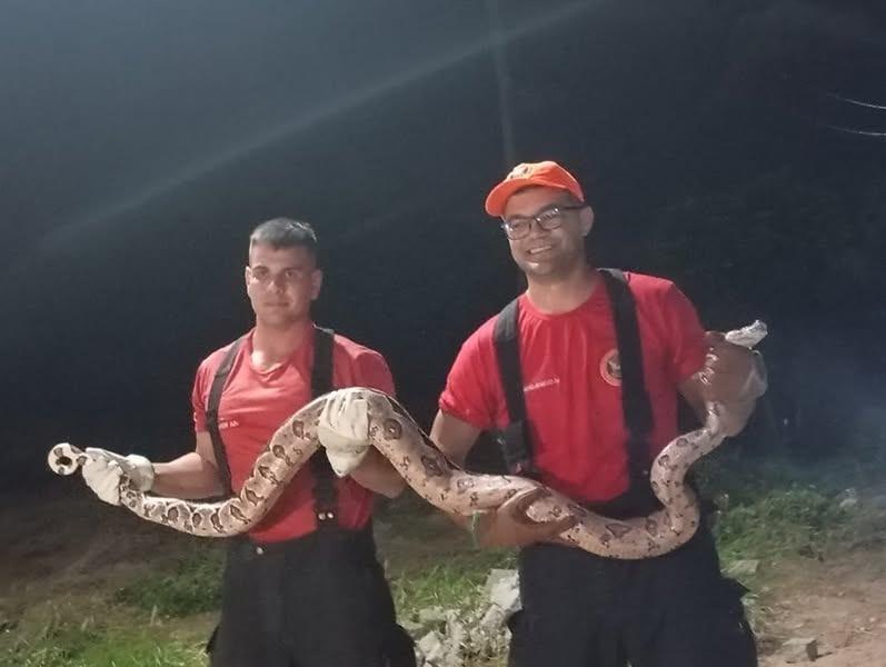 Bombeiros resgatam cobra em galinheiro na zona rural de Apodi neste Domingo(13)
