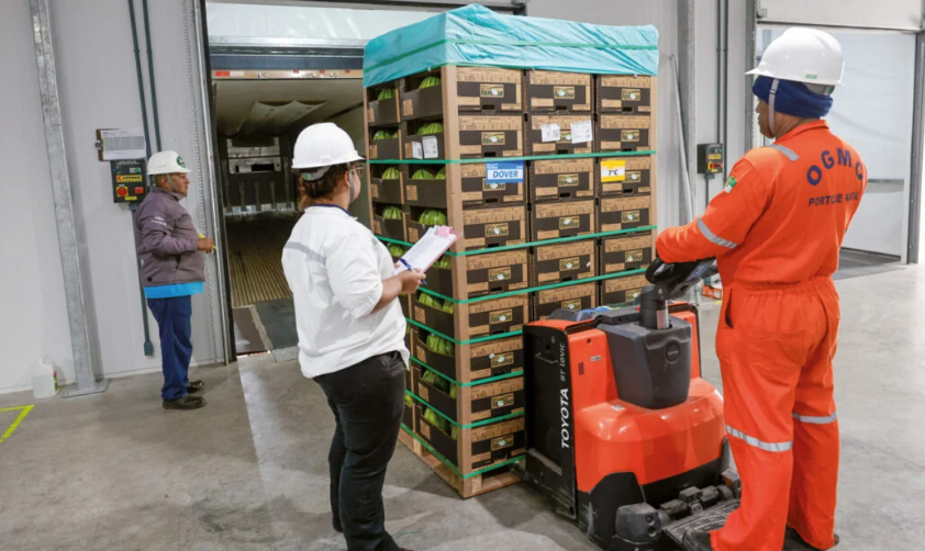 Exportações do RN crescem 14,5% no 1º trimestre e somam US$ 259,9 milhões