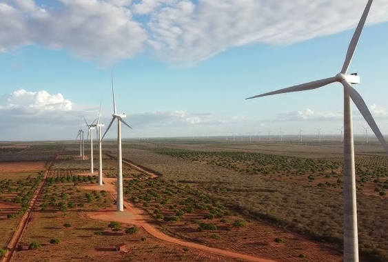 Acusação contra Voltalia revela impactos ambientais graves em Serra do Mel