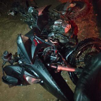 Animais soltos causam acidentes frequentes na RN-117