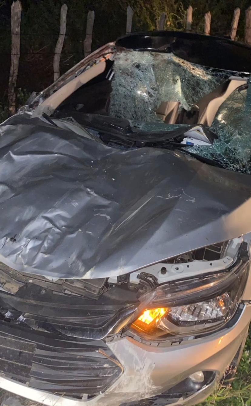 Empresário de Luís Gomes se envolve em acidente com cavalos na BR-405