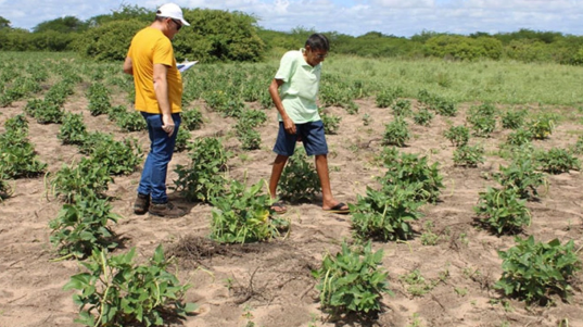 Estiagem ameaça safra no semiárido e mobiliza agricultores de Mossoró pelo Garantia-Safra 2025