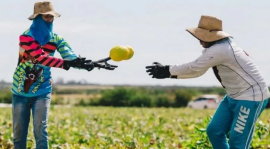 RN fecha mais de 1,9 mil empregos com carteira assinada em março