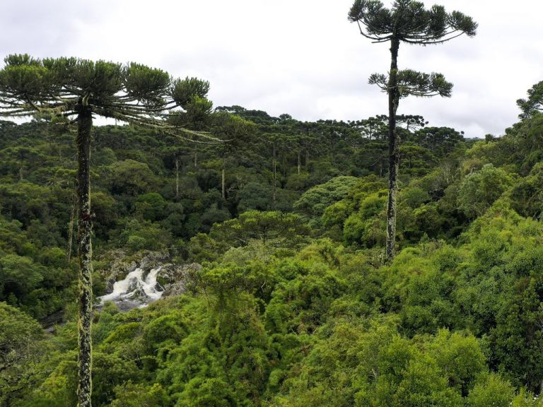 Sancionada lei que cria política nacional de visitação a parques ambientais