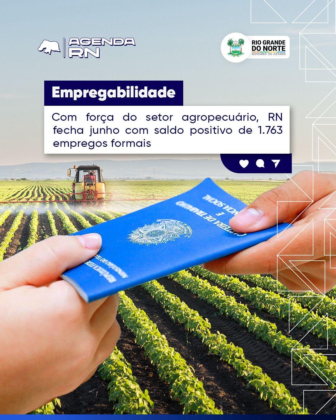 Agropecuária impulsiona geração de empregos no RN em junho, com saldo positivo de 1.763 vagas formais