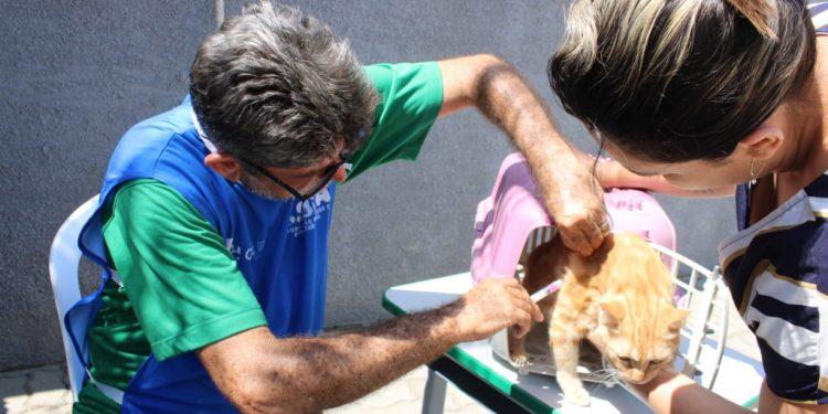Campanha antirrábica segue com novos pontos de vacinação em Mossoró