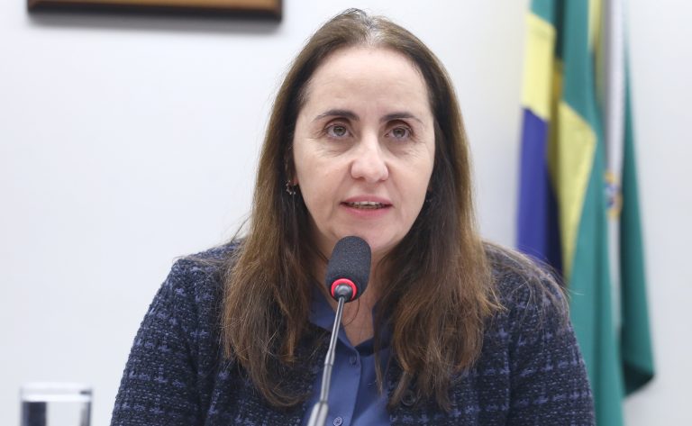 Comissão debate eficácia do Custo Aluno-Qualidade na educação básica