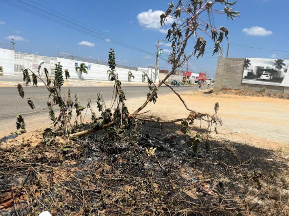 Defesa Civil de Mossoró reforça orientações sobre prevenção de queimadas