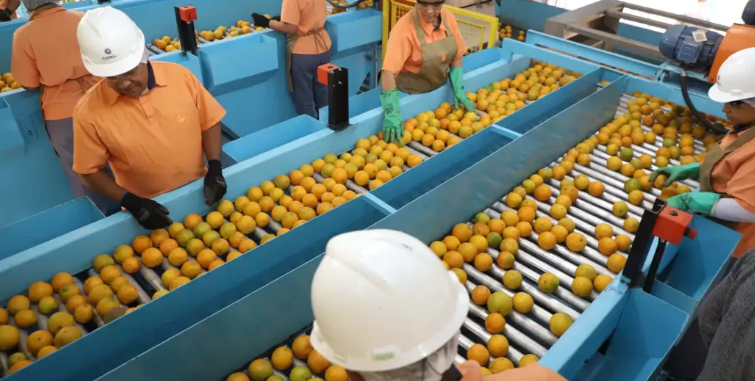 Exportações brasileiras para os EUA caem 22% em agosto devido ao tarifaço