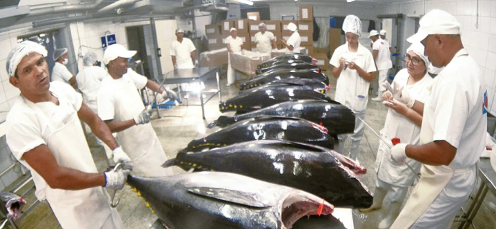 Exportações de pescado do RN para os EUA caem 80% com tarifas impostas por Trump