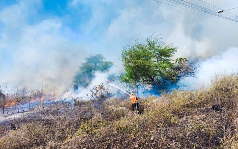 Incêndios em vegetação mobilizam Corpo de Bombeiros em Mossoró
