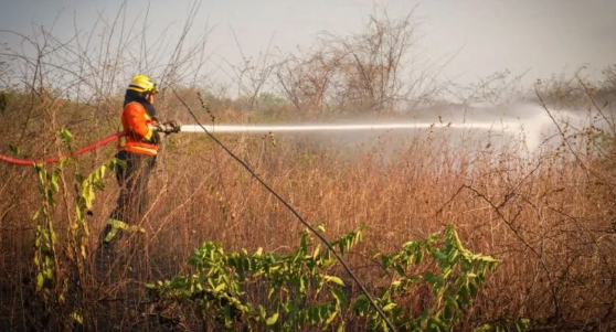 Incêndios em vegetação no RN crescem 52% em 2025, alerta Corpo de Bombeiros