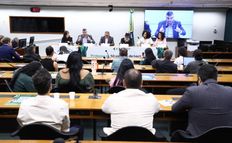 Perto da COP 30, cresce mobilização da sociedade civil pela destinação de florestas públicas na Amazônia