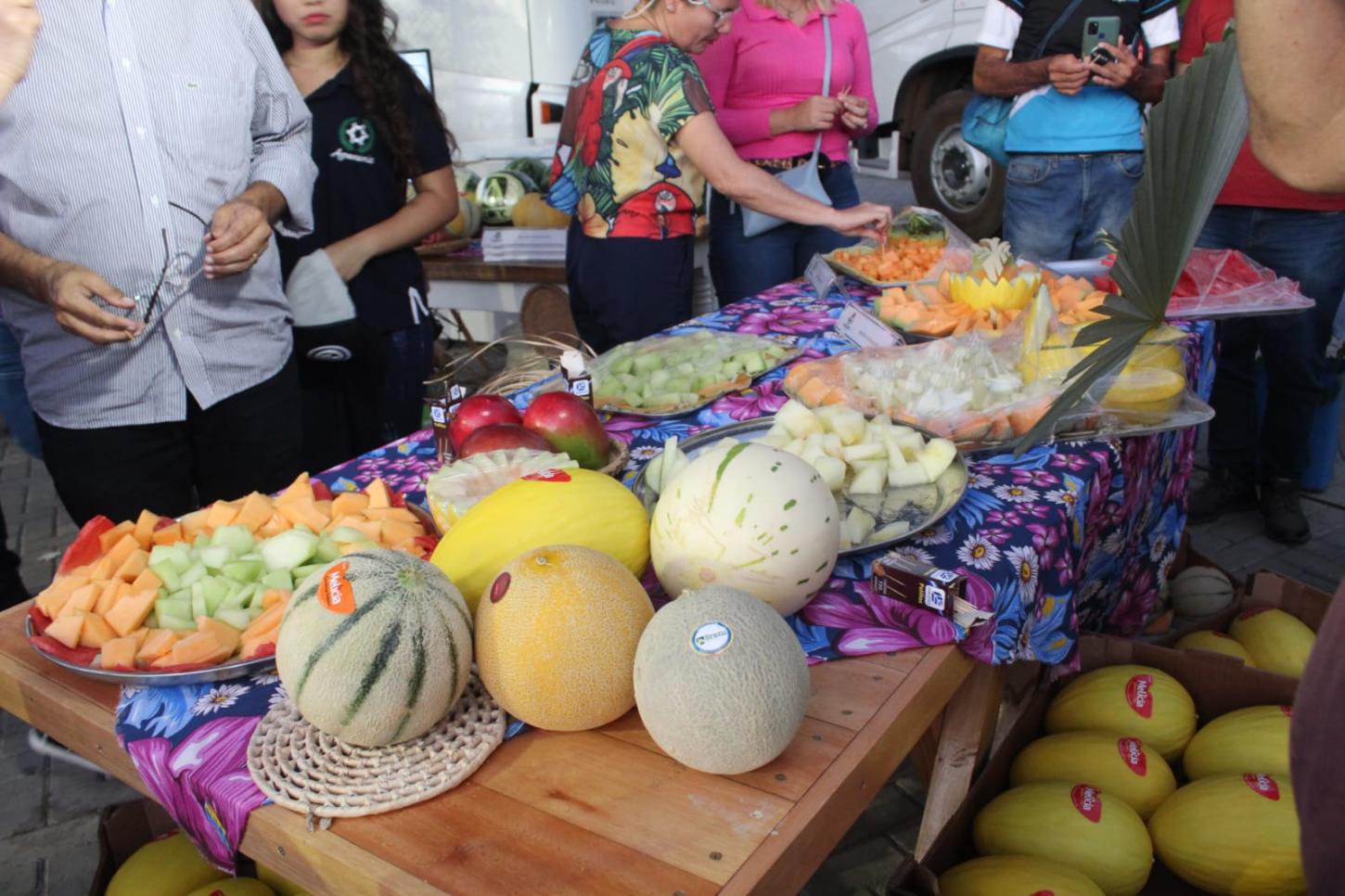 Safra do melão impulsiona geração de empregos no Rio Grande do Norte