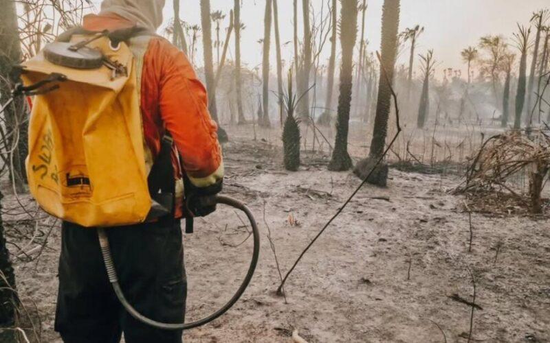 Bombeiros controlam incêndio florestal após mais de cinco horas de combate na RN-117