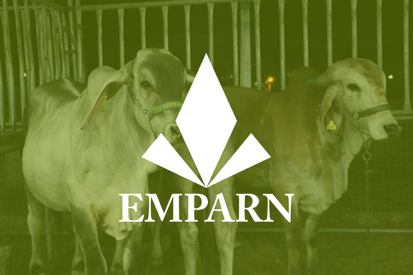 Governo do RN publica resultado final do concurso da Emparn
