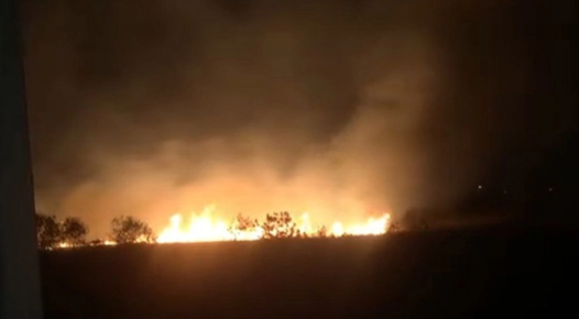 Mossoró e Baraúna registram maior número de incêndios florestais no RN