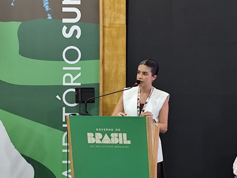 Deputados esperam ampliar apoio a projetos de lei sobre mudanças do clima após a COP30