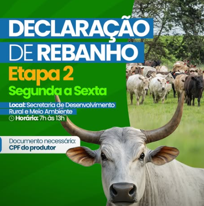 Etapa 2 da Declaração de Rebanho já está em andamento em São Miguel